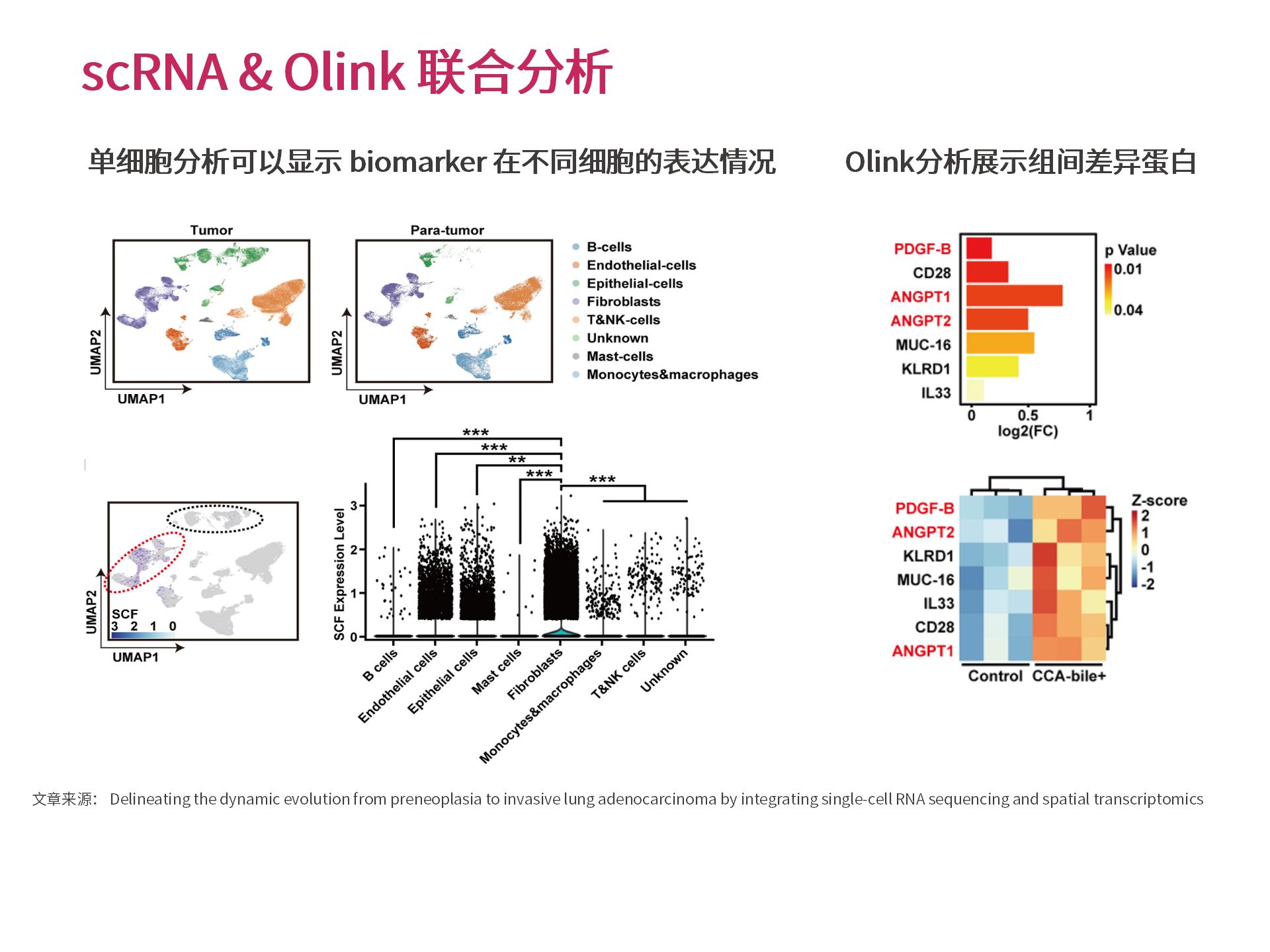官网个性化生物信息分析 (2.25)--_18.jpg