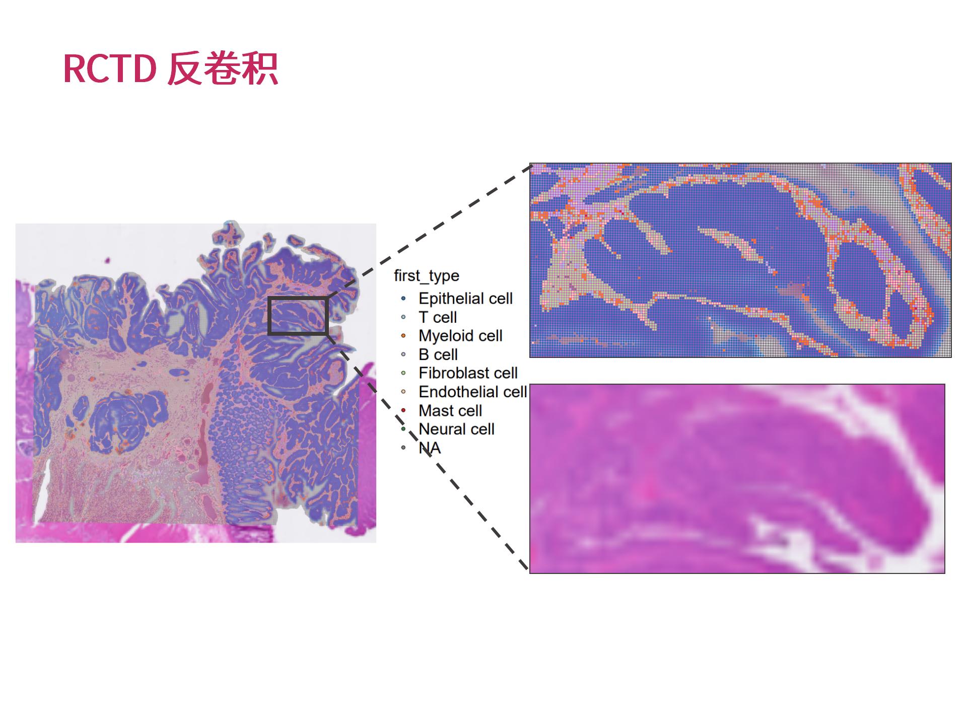 官网个性化生物信息分析 (2.25)--_14.jpg