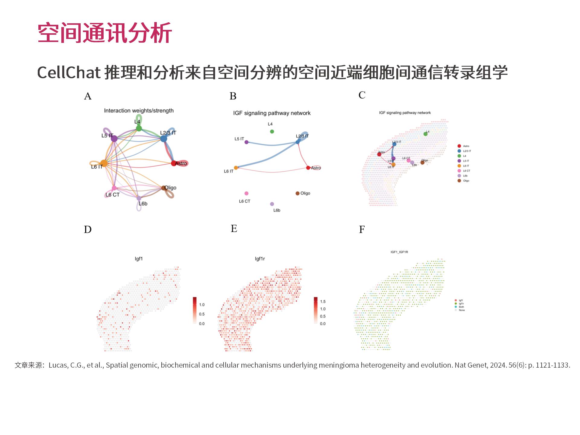 官网个性化生物信息分析 (2.25)--_16.jpg