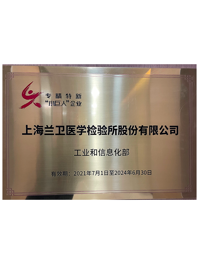 01 武汉鼎点娱乐高新证书2022-2025年-1.png